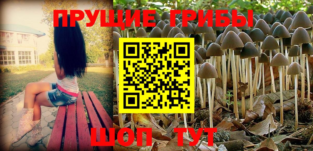 Воскресенск  Галлюциногенные грибы Magic Shrooms  Вход с VPN  Псилоцибиновые грибы Psilocybe 