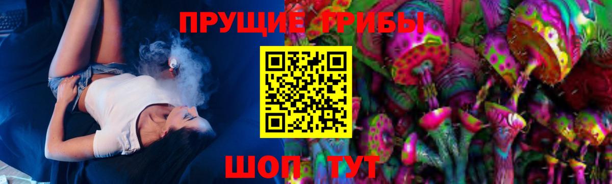 Псилоцибиновые грибы Psilocybine cubensis Воскресенск