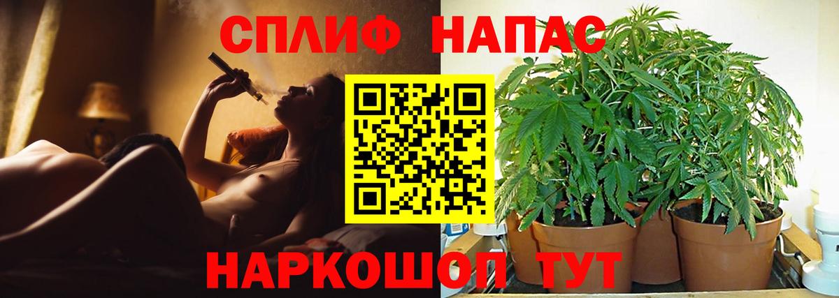 Бошки марихуана тримм  Бошки марихуана сатива  Бошки марихуана семена  Вход с VPN  Воскресенск  Шишки марихуана OG Kush 